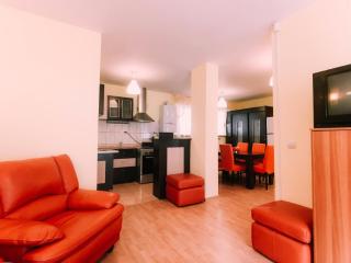 Spacious Apartment near Peles - Sinaia - 0