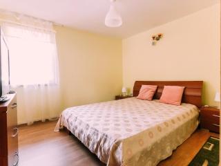 Spacious Apartment near Peles - Sinaia - 9