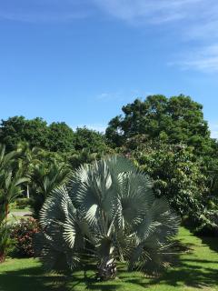 Hotel Los Higuerones - Canoas - 6