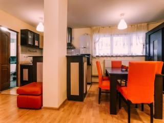 Spacious Apartment near Peles - Sinaia - 1