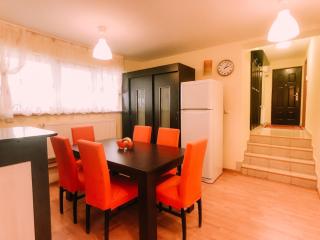 Spacious Apartment near Peles - Sinaia - 7