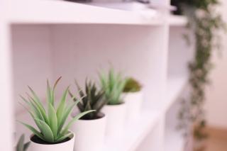 Apartamentos Dormavalencia - Valencia - 3