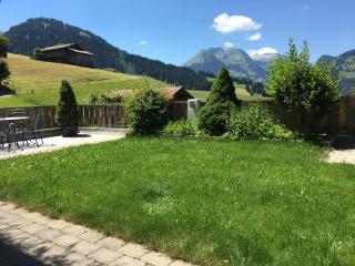 Cala Sol - Gstaad - 6