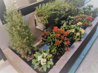 Live like a local in Ekkamai - 4