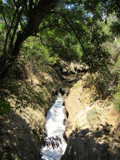 Cariari Bed & Breakfast - 3