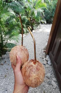 Green Sanctuary Hotel - Nosara - 2