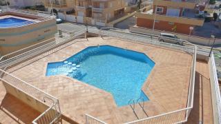 Sector 5 Napols AP844 - Oliva - 4