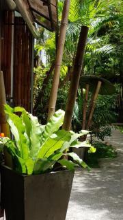 Sairee Sairee Guesthouse - 9