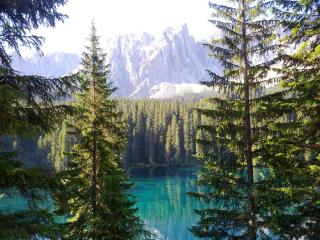 Park Hotel Aurora - Pozza di Fassa - 6