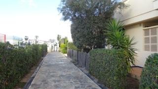 Apartment Begoña - Dénia - 3