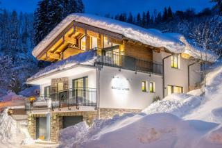 Gasteg Living - Maria Alm am Steinernen Meer - 6