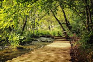 Apartman Lujko Plitvice - Plitvička Jezera - 7