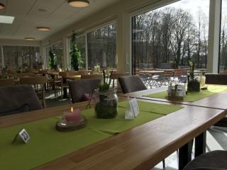 Hotel Grünwalde - Halle Westfalen - 3