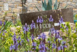 Il Brillocco - Castellabate - 9
