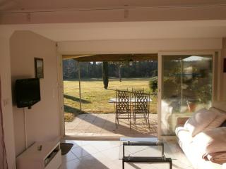 Pervenches - Jonquerettes - 8