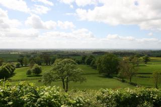 Honeysuckle in Crayke YO61 4TE - 2