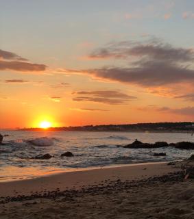 Hotel Las Olas Resort - 2