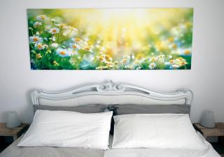 B&B Beauty House - Cesena - 6