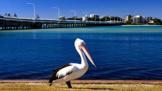 Parkside Marina 1 CBD Location - Forster - 9