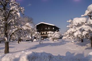 Alpenhof Landhotel Restaurant - Oberaudorf - 1