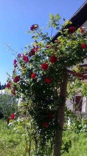 Apartman Sucuraj - Sućuraj - 5