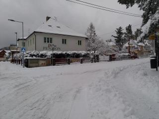 Penzion Diana Máchovo jezero - 6