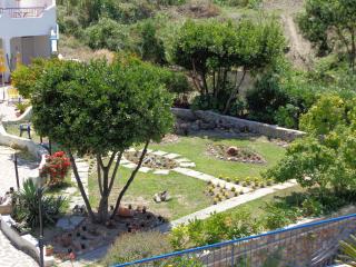 Il Mediterraneo - Adults Only - Ponza - 4