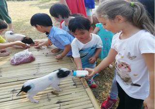 Wanlapa Farmstay - Ban Khok Krathiam - 6