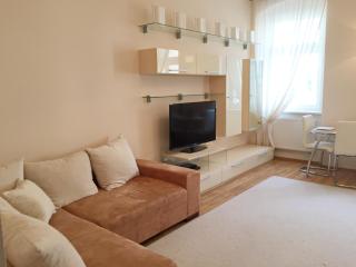 Apartment DR. Becher LUX 60 M2 - 6