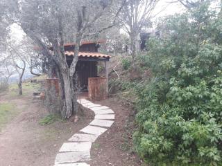 Cabana da Oliveira - Marco de Canaveses - 0