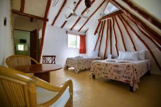 Golden Paradise Hostel - Isola Holbox - 7