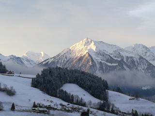 Ackaert Ferienwohnung Top of Thun - 1