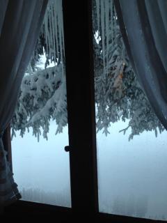 Chalet dell'Orso - 6
