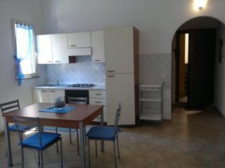 Liana monolocale - San Vincenzo - 5