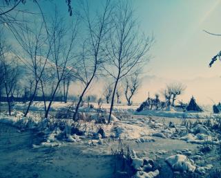 Kings Houseboats - Srinagar - 3
