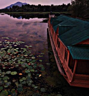 Kings Houseboats - Srinagar - 1