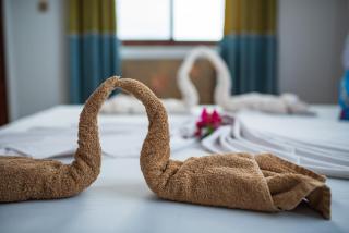 Mocco Beach Villa - Kendwa - 2
