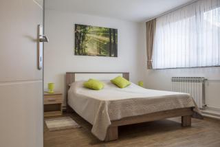Apartment Vir - Karlovac - 1