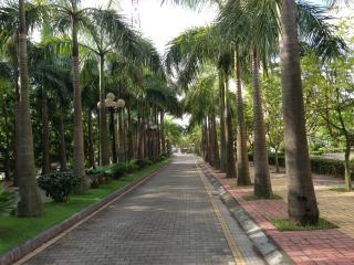 Camela Hotel & Resort - Hai Phong - 6