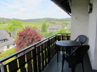 Mountainview villa - Wiemeringhausen - 3