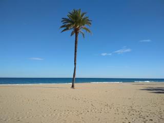 duplex en gran Alacant,(santa pola) - Puerto Marino - 0