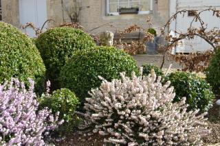 La Maison Des Buis - 6