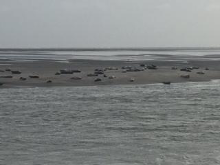 calypso 2 - Berck-sur-Mer - 2