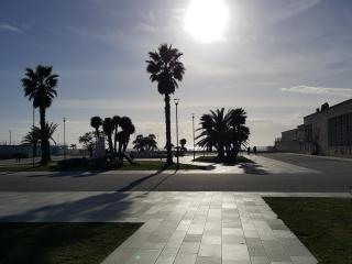 La Puerta del Sol - Viareggio - 0