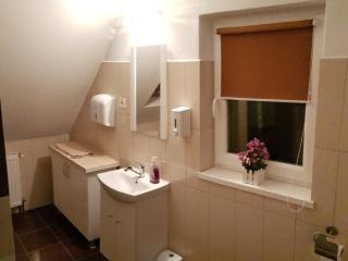 Antal Guesthouse - Ghimeş-Făget - 6