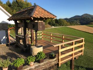Tourist farm Artisek - Štore - 4