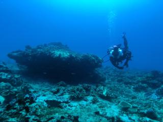 Sumba Adventure Resort - Baing - 0