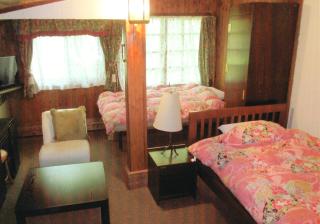 Pension Hakuba 70 - Hakuba - 6