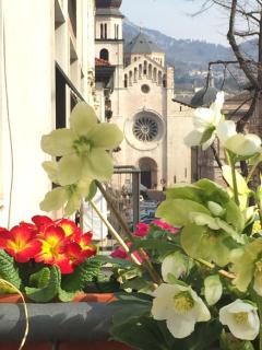 B&B Homer Trento - Trient - 0