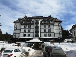 Apartment Lavina Kopaonik - Kopaonik - 4